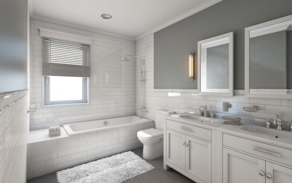 Cost of Restroom Remodeling in Mequon
