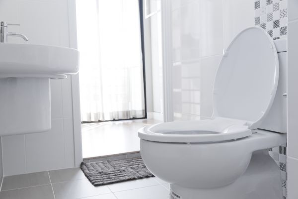 Cost of Toilet Relocation in Mequon